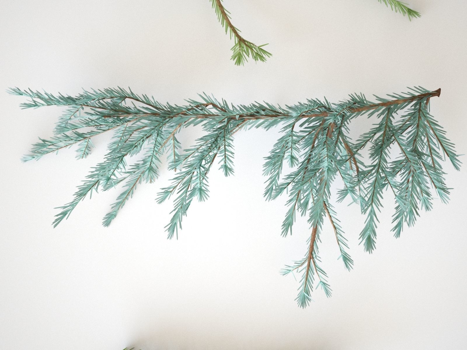 Pinetree Branches 3D model_5