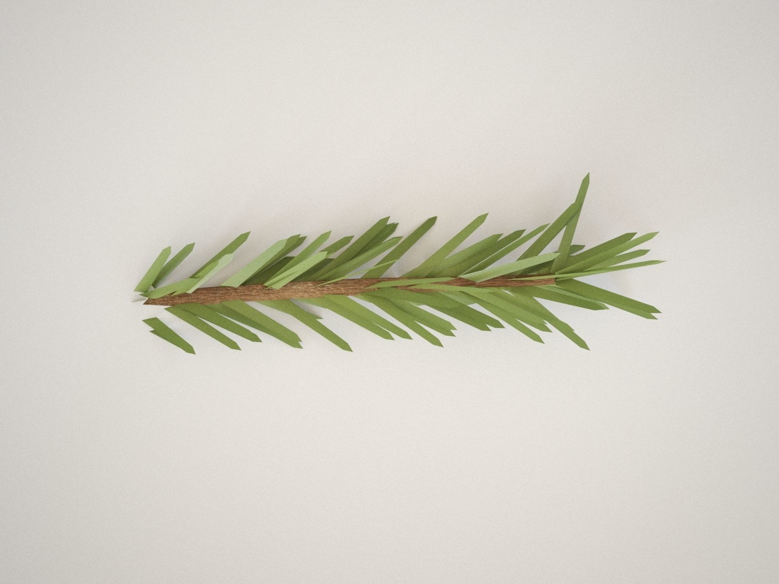 Pinetree Branches 3D model_9