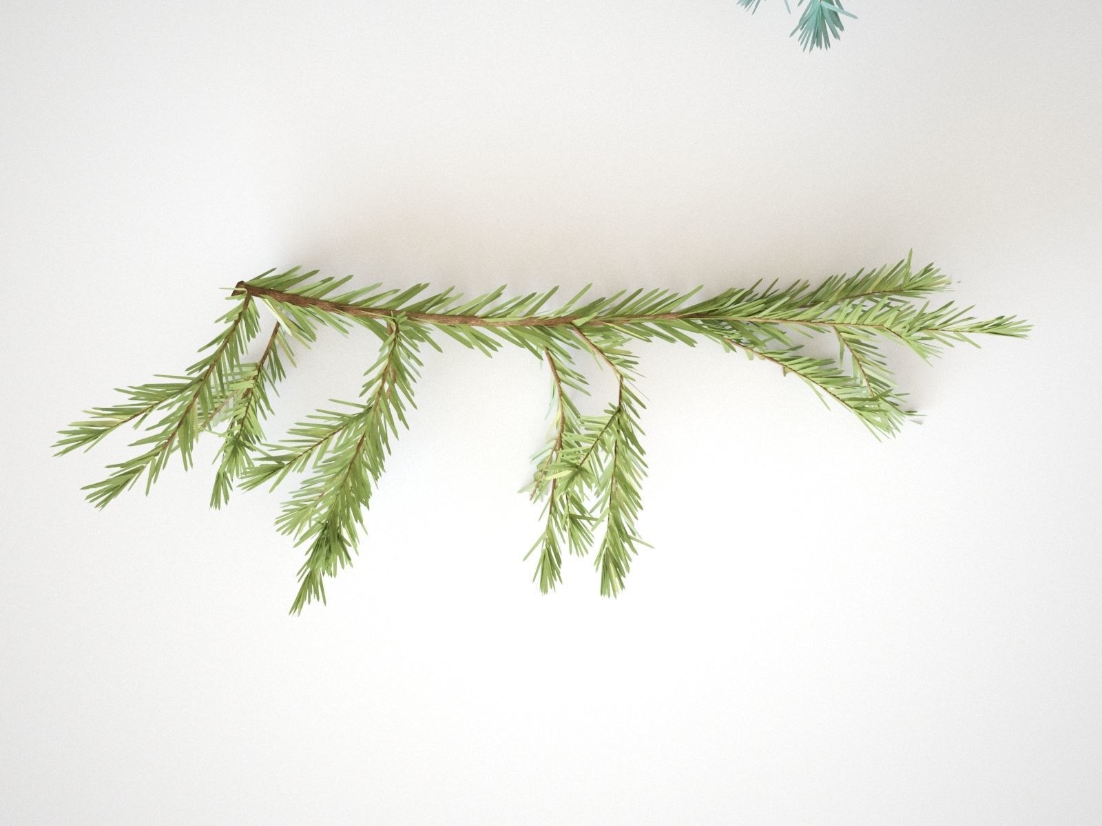 Pinetree Branches 3D model_4