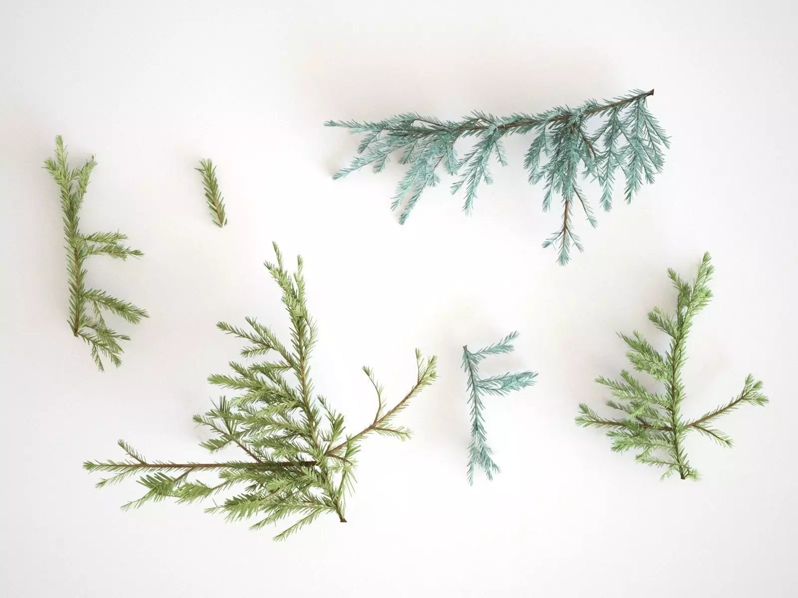 Pinetree Branches 3D model_0