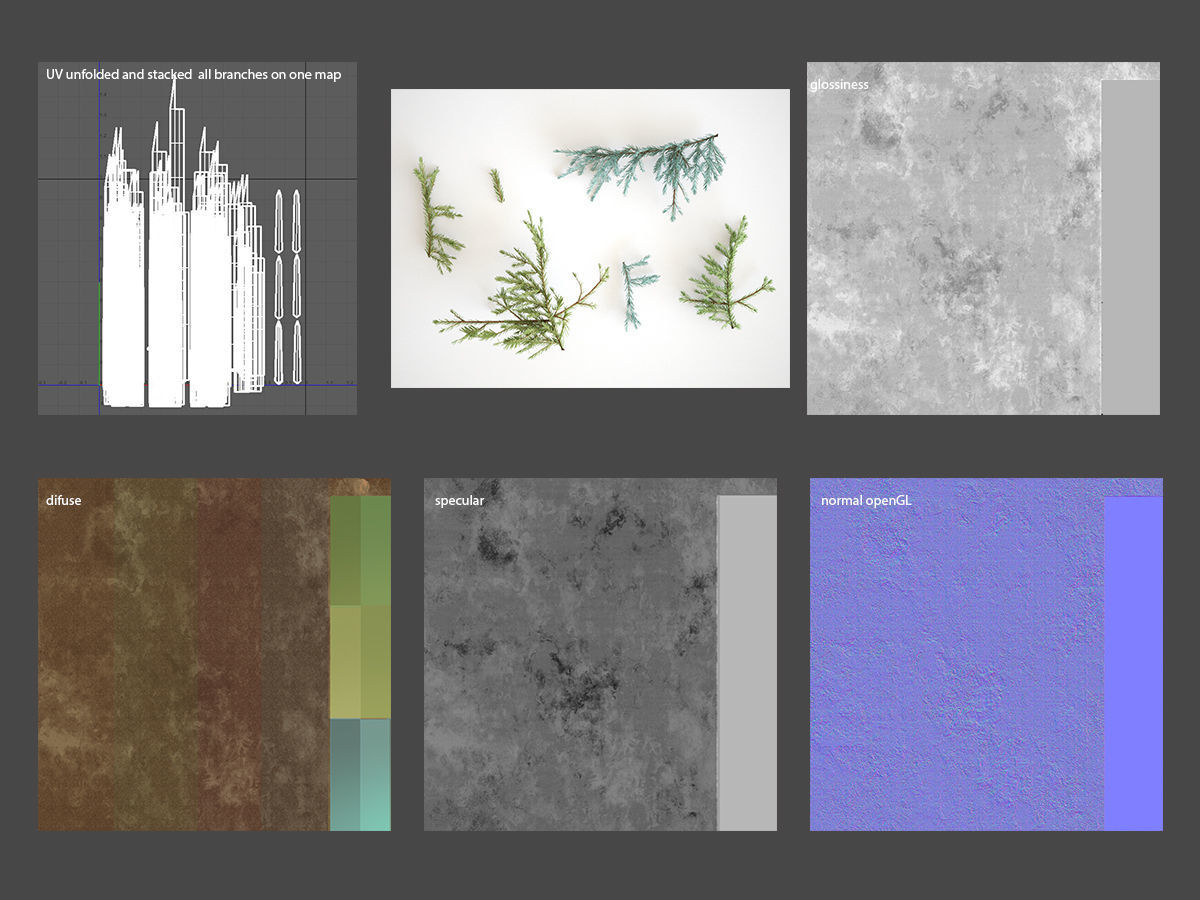 Pinetree Branches 3D model_1