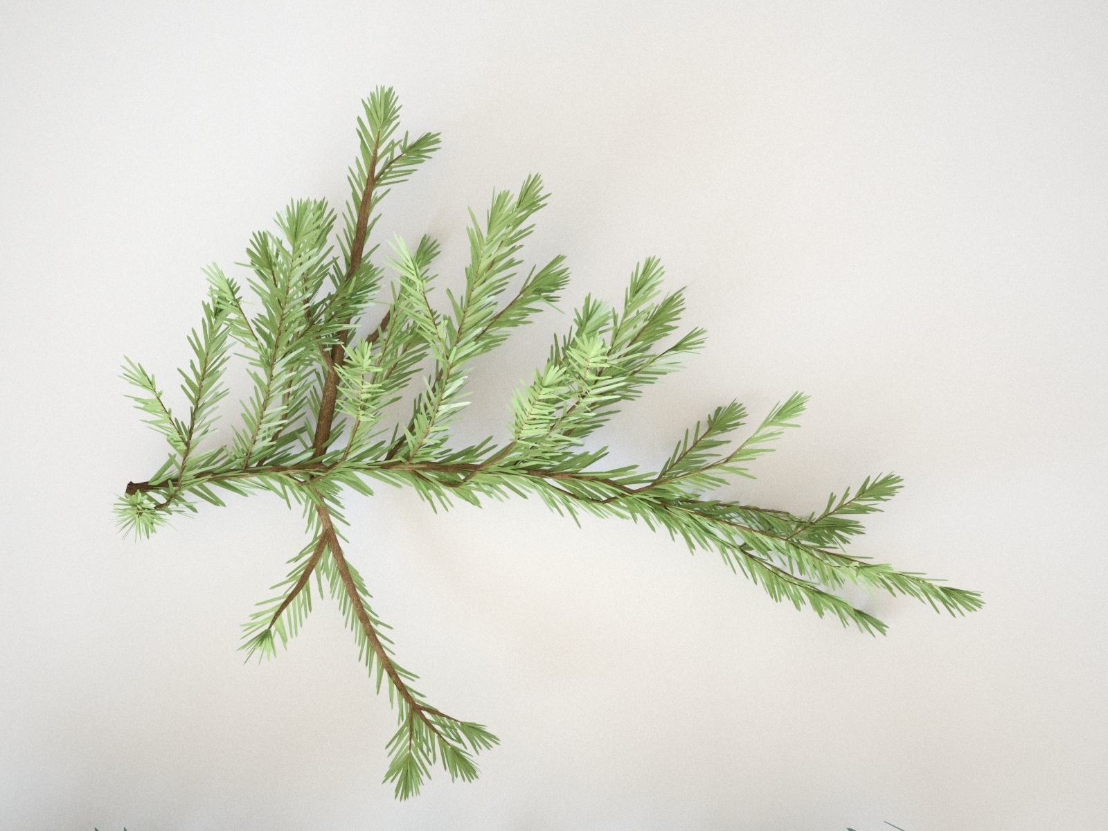 Pinetree Branches 3D model_7