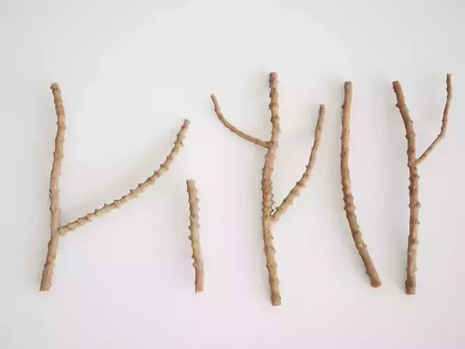 Small Branches 3D model