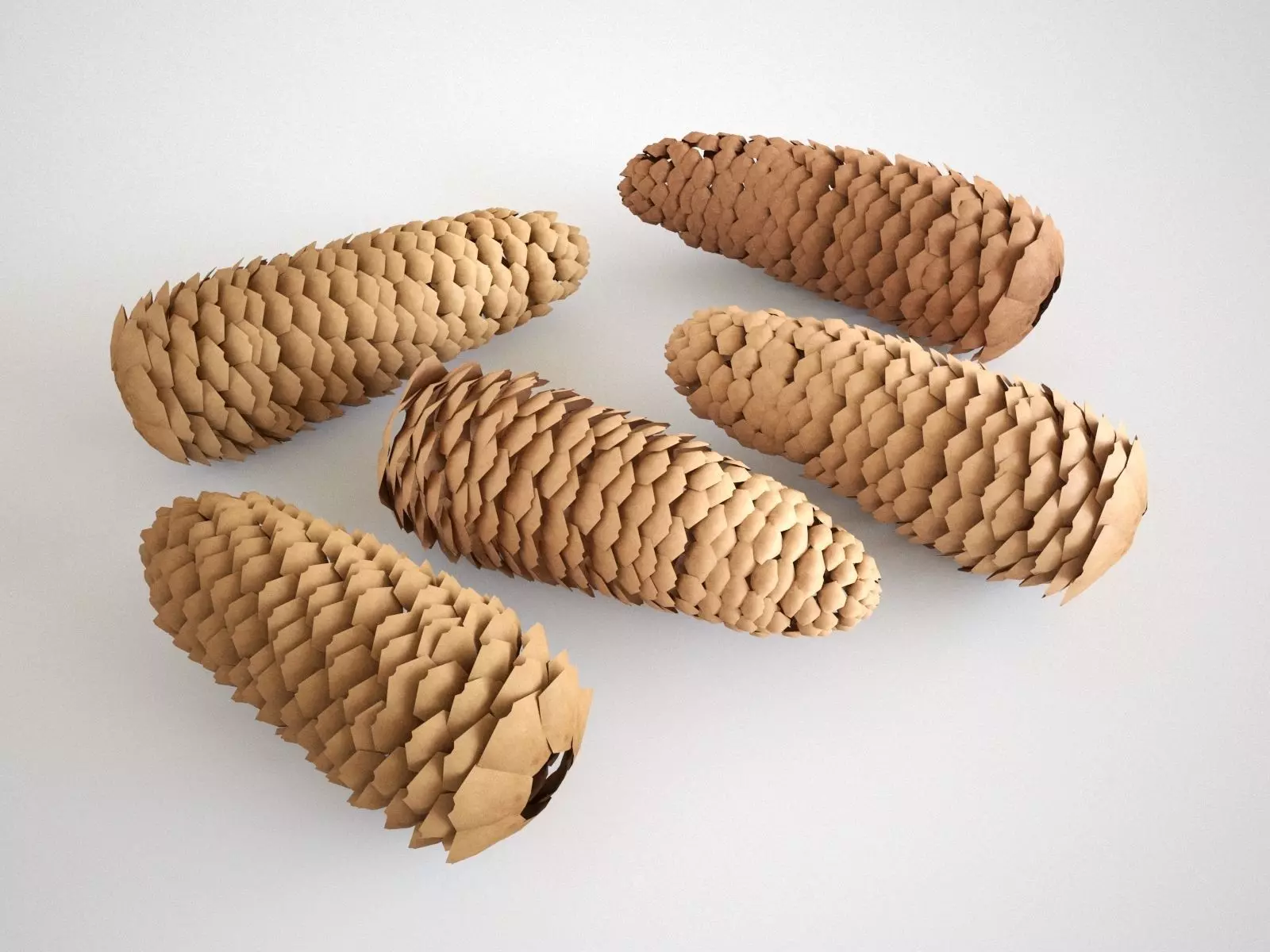 Cones five pine 3D model