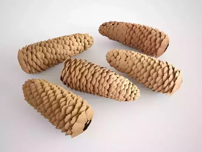 Cones five pine 3D model