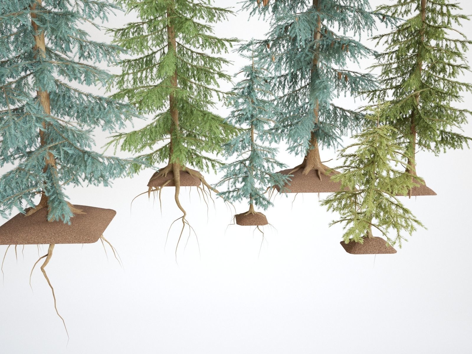 Pinetrees spruce tree set 3D model_6