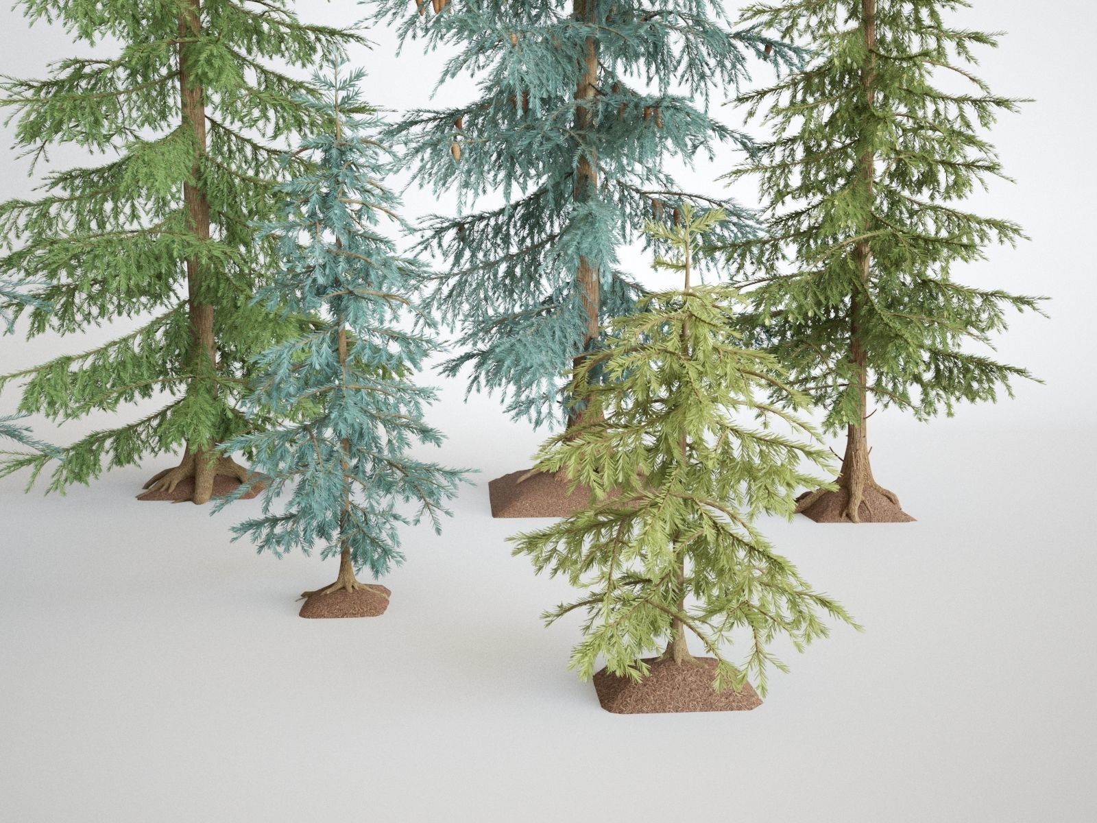Pinetrees spruce tree set 3D model_7