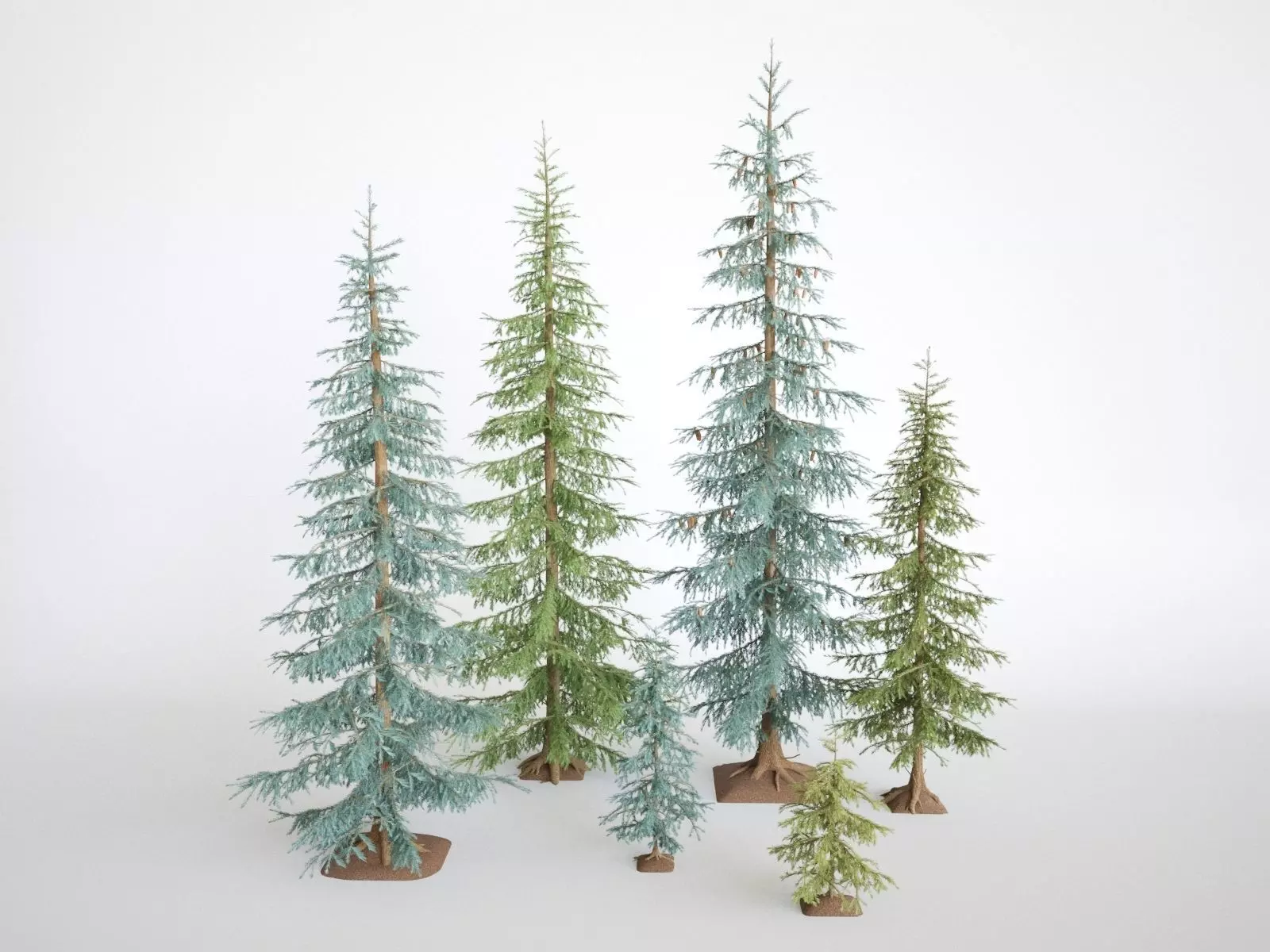 Pinetrees spruce tree set 3D model_0