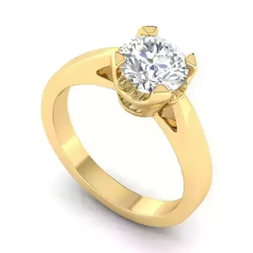 Engagement Ring With Diamond 72
