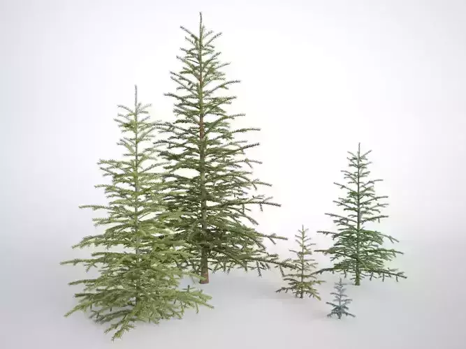 Pinetree Small 3D model