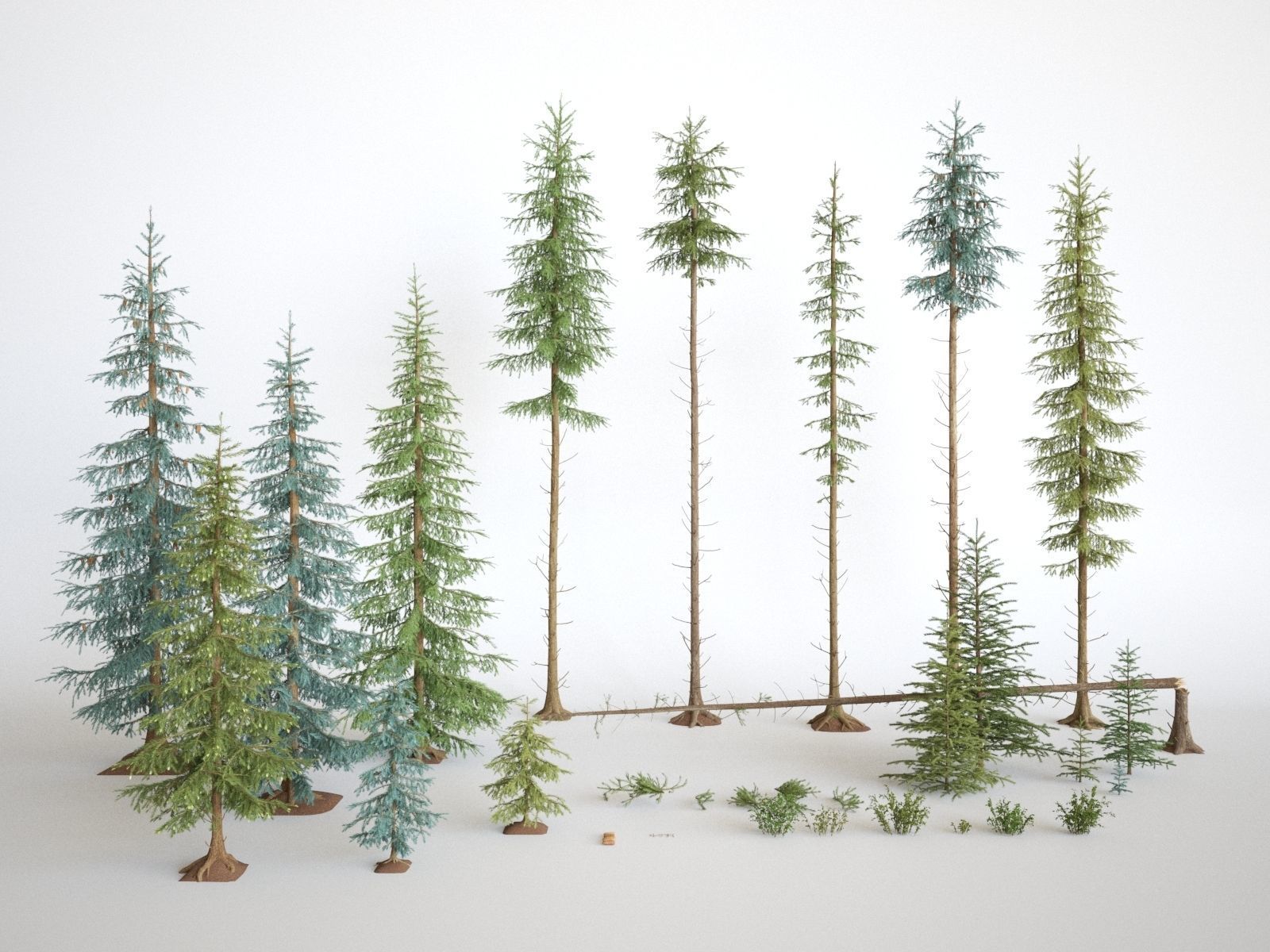 Blueberry Pinetree Forest 3D model_1