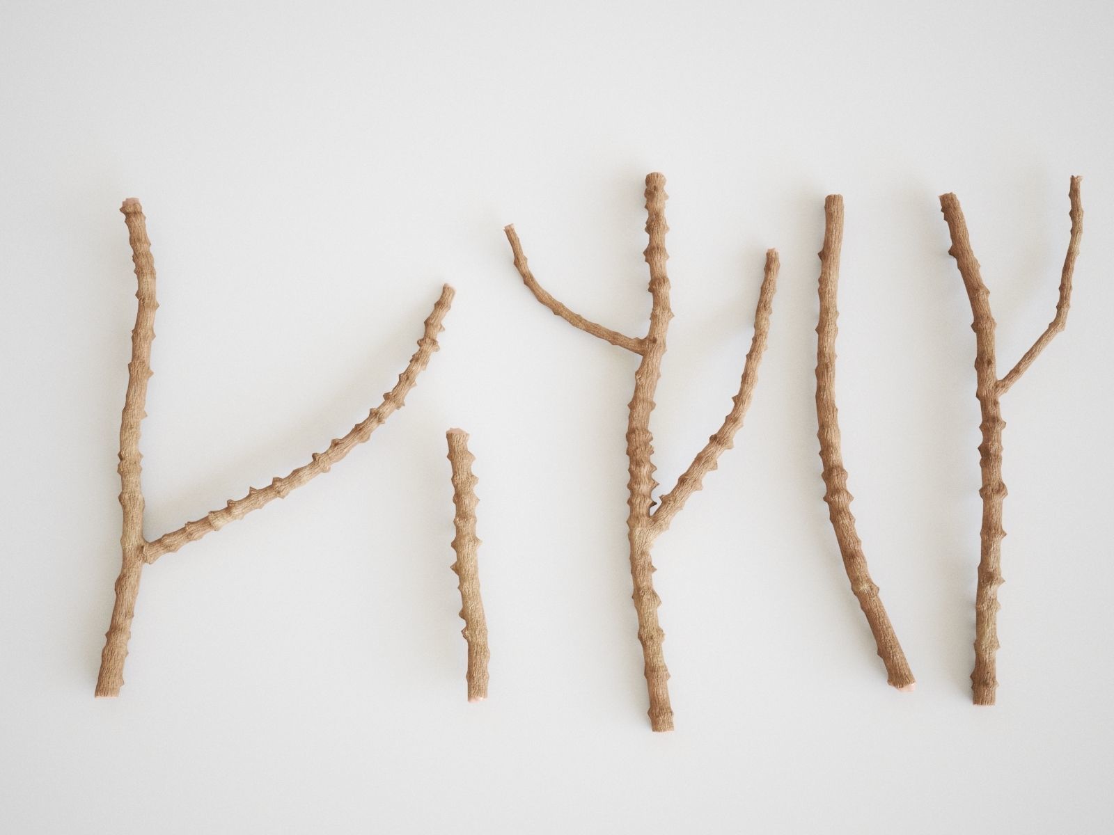 Blueberry Pinetree Forest 3D model_6