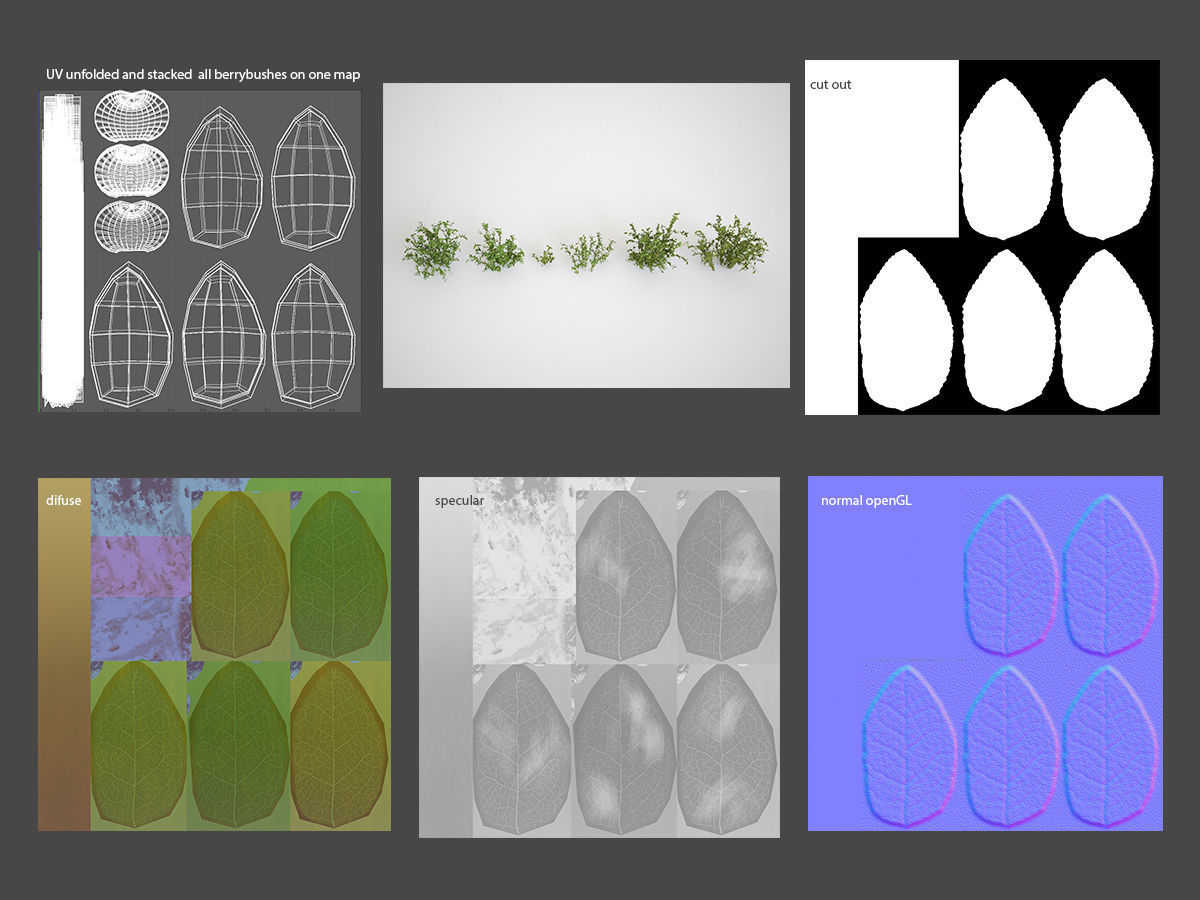 Blueberry Pinetree Forest 3D model_20