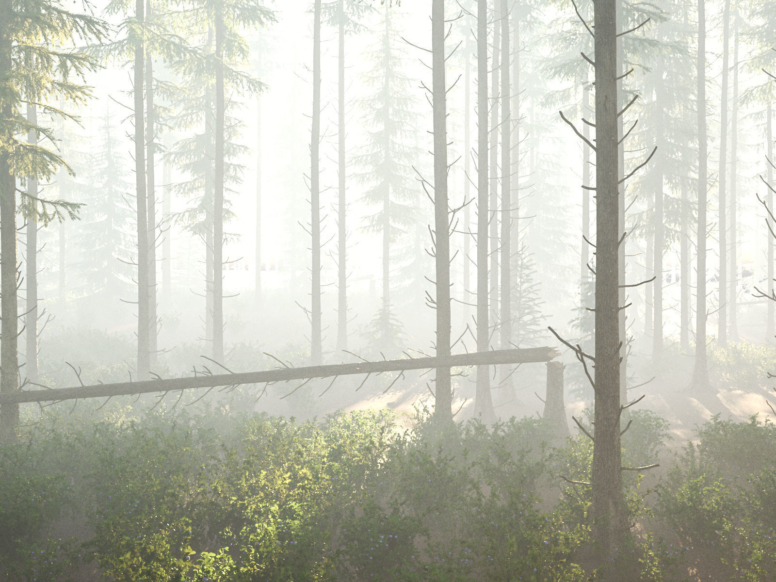 Blueberry Pinetree Forest 3D model_23