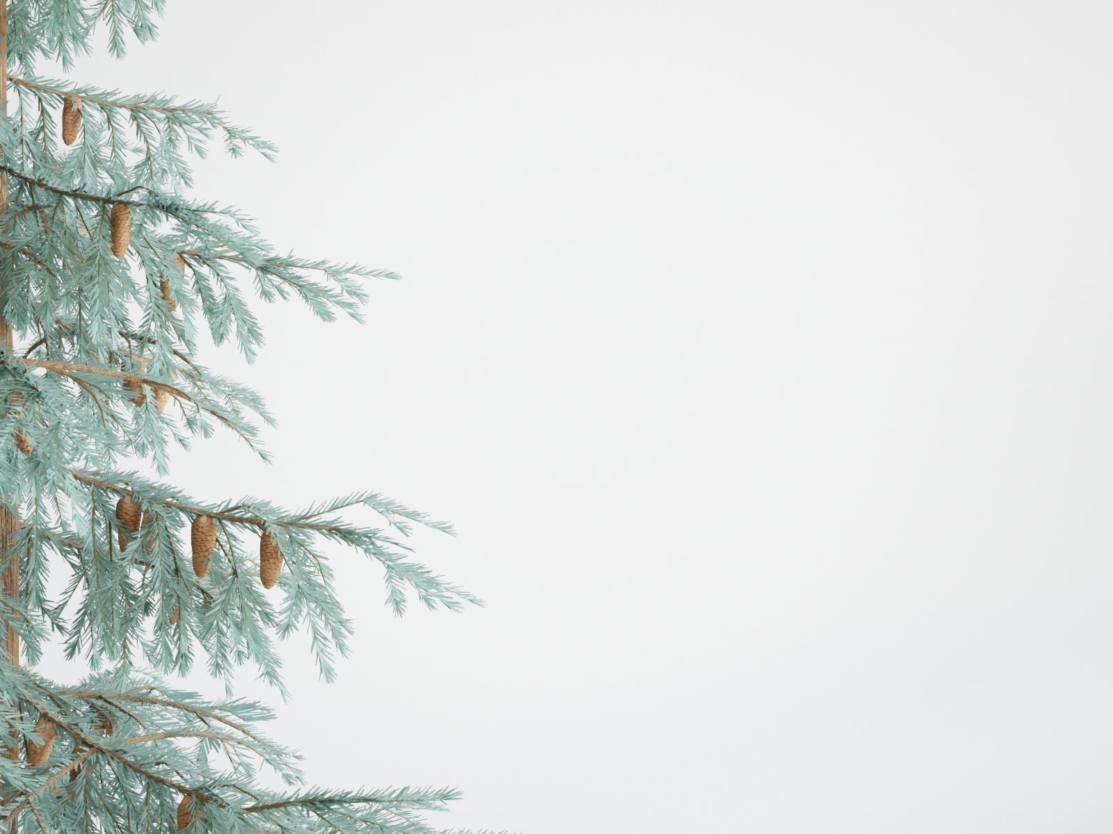 Blueberry Pinetree Forest 3D model_30