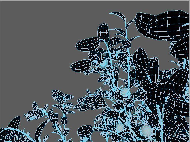 Blueberry Pinetree Forest 3D model_28