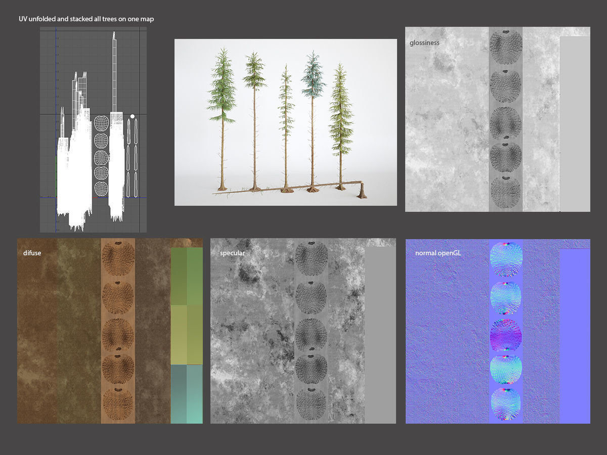 Blueberry Pinetree Forest 3D model_19