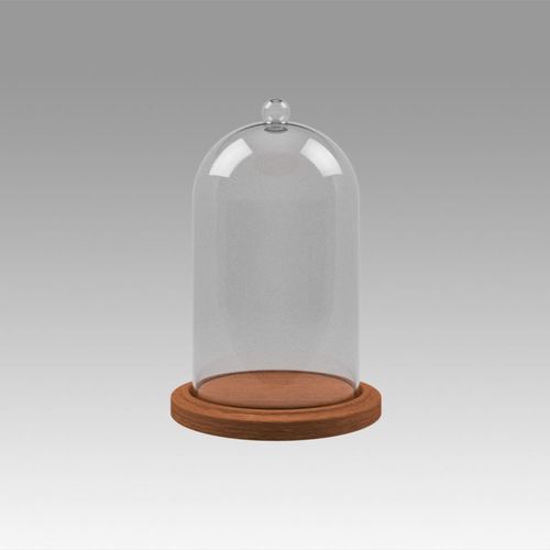 Dome glass 3D model