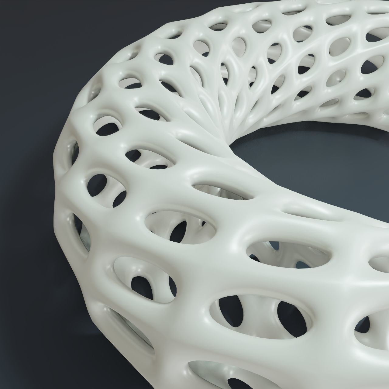 Torus with holes 3D print model_2