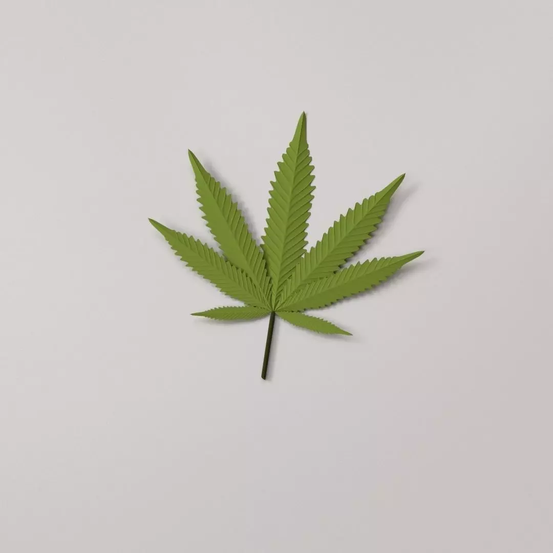 Cannabis Leaf 3D model
