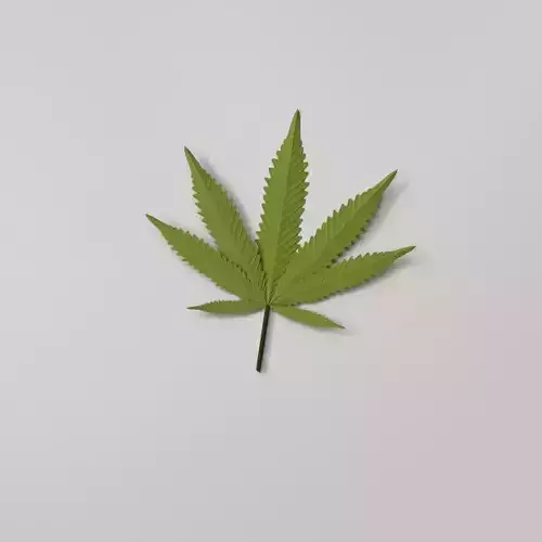 Cannabis Leaf 3D model