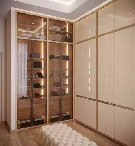 Wardrobe walk in closet with glass doors