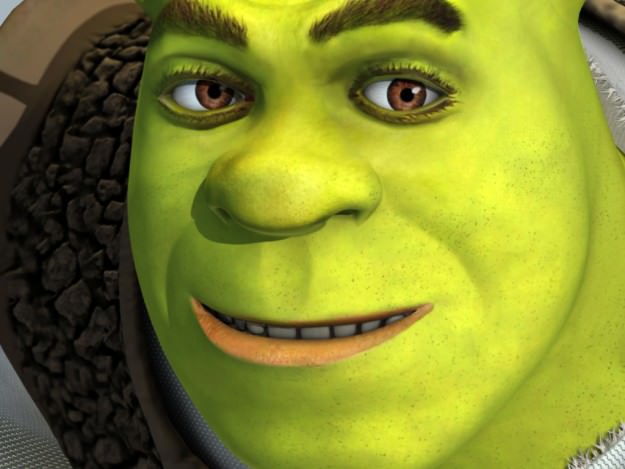Shrek rigged 1 0 3D model_18