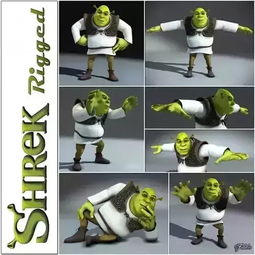 Shrek rigged 1 0 3D model