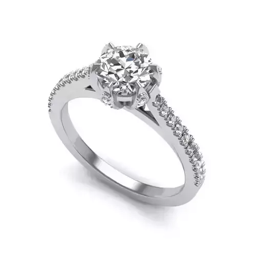 Engagement Ring With Diamonds 169