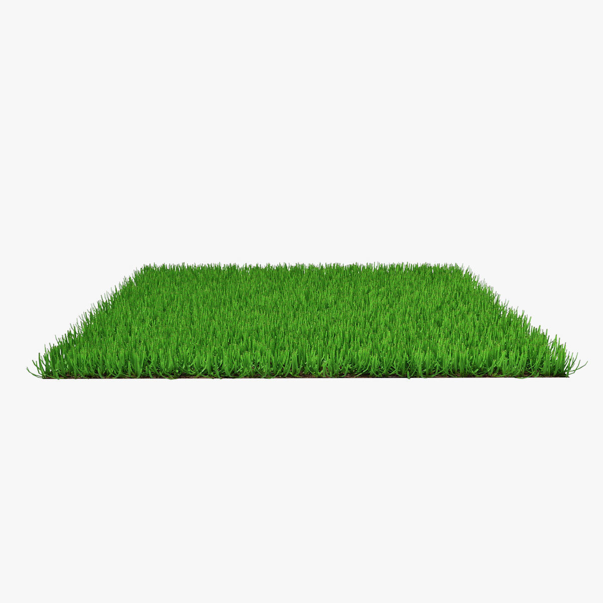 Grass 03 3D model_2