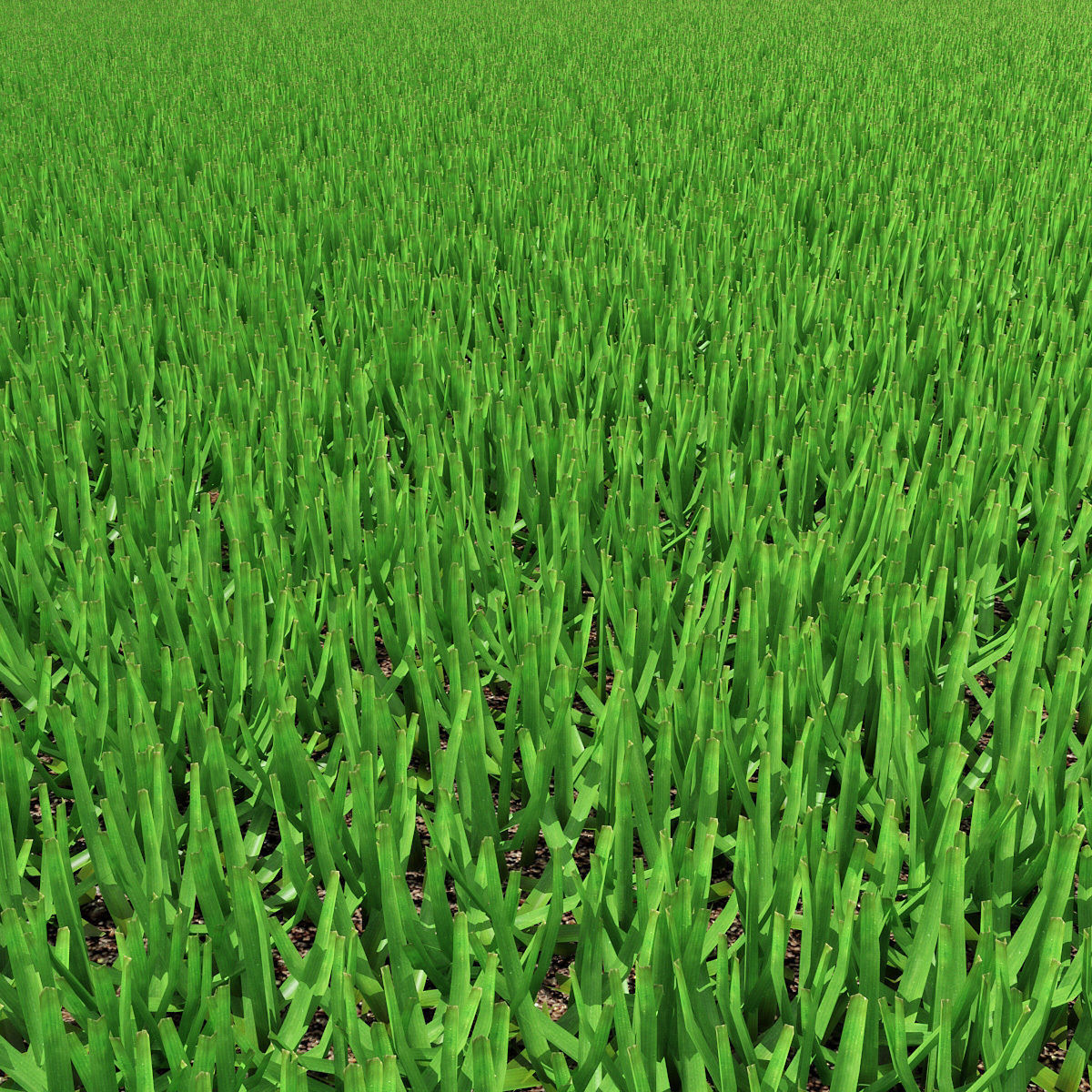Grass 03 3D model_8