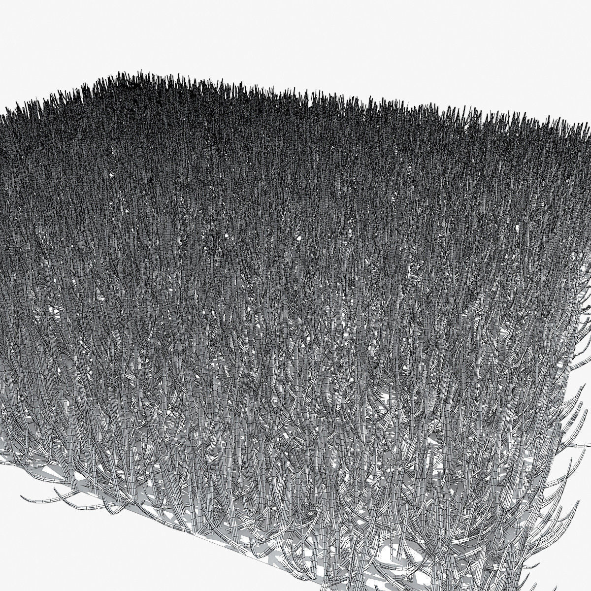 Grass 03 3D model_6