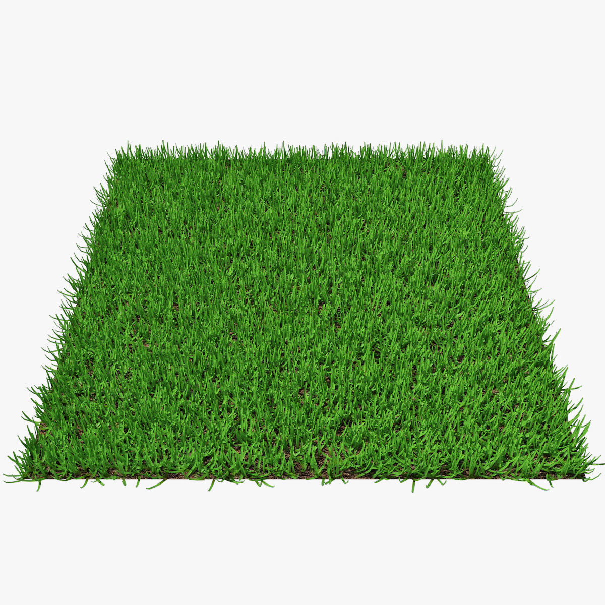Grass 03 3D model_1