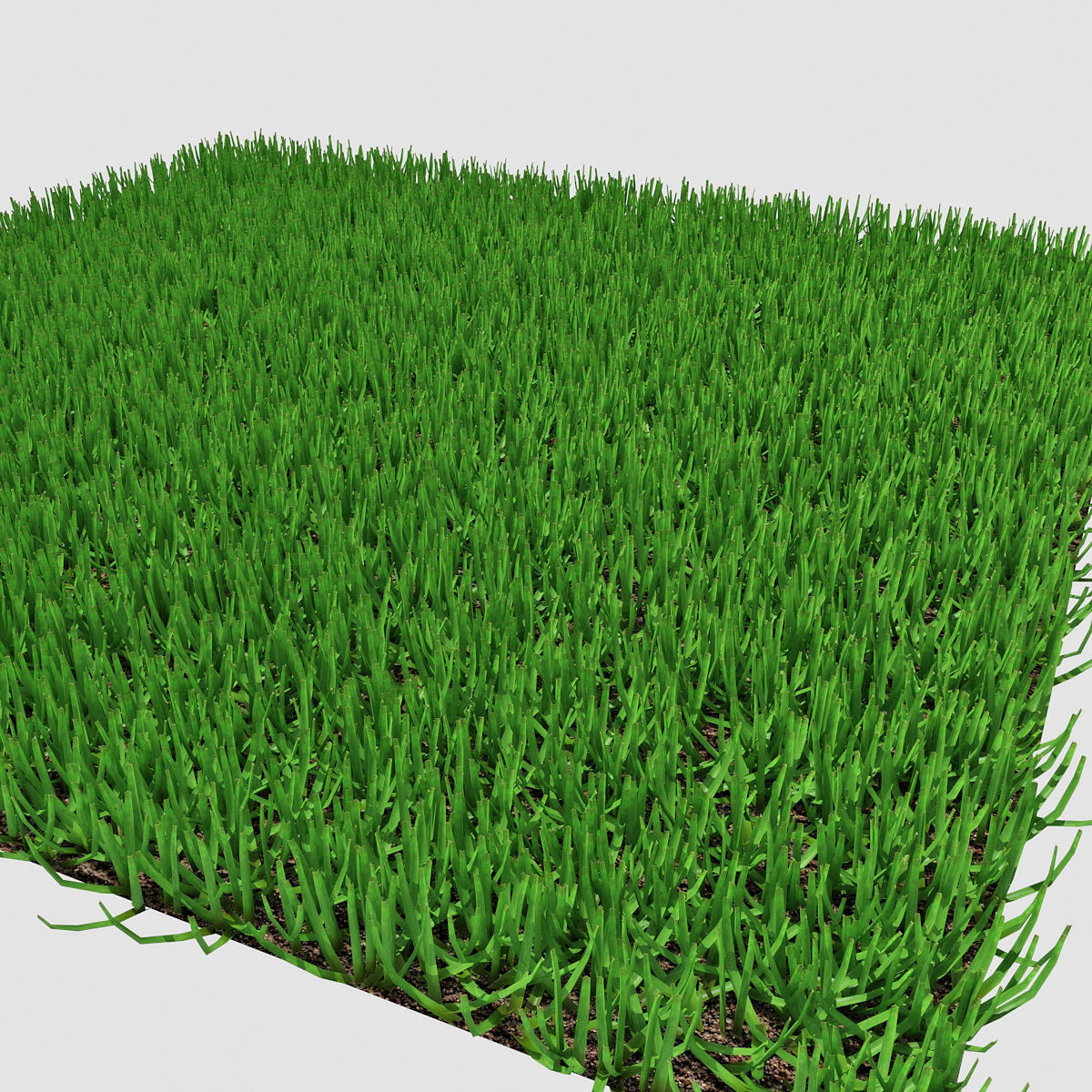 Grass 03 3D model_3