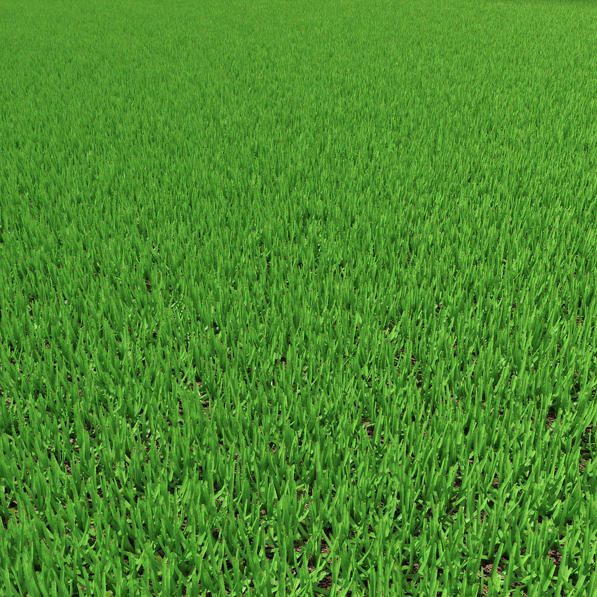 Grass 03 3D model_7