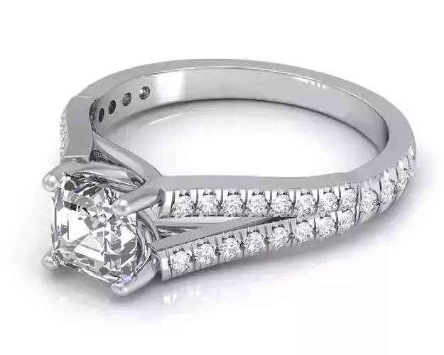 Engagement Ring With Diamonds 201