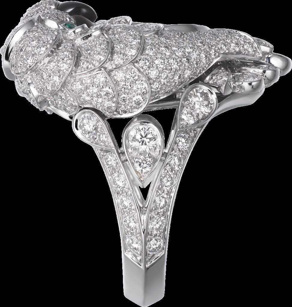 cockatoo parrot 3D print model_3