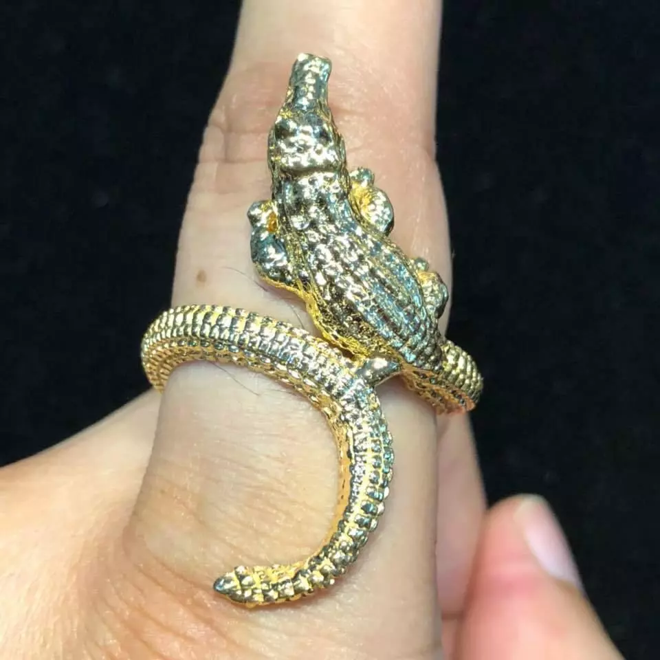 Crocodile rings 3D print model