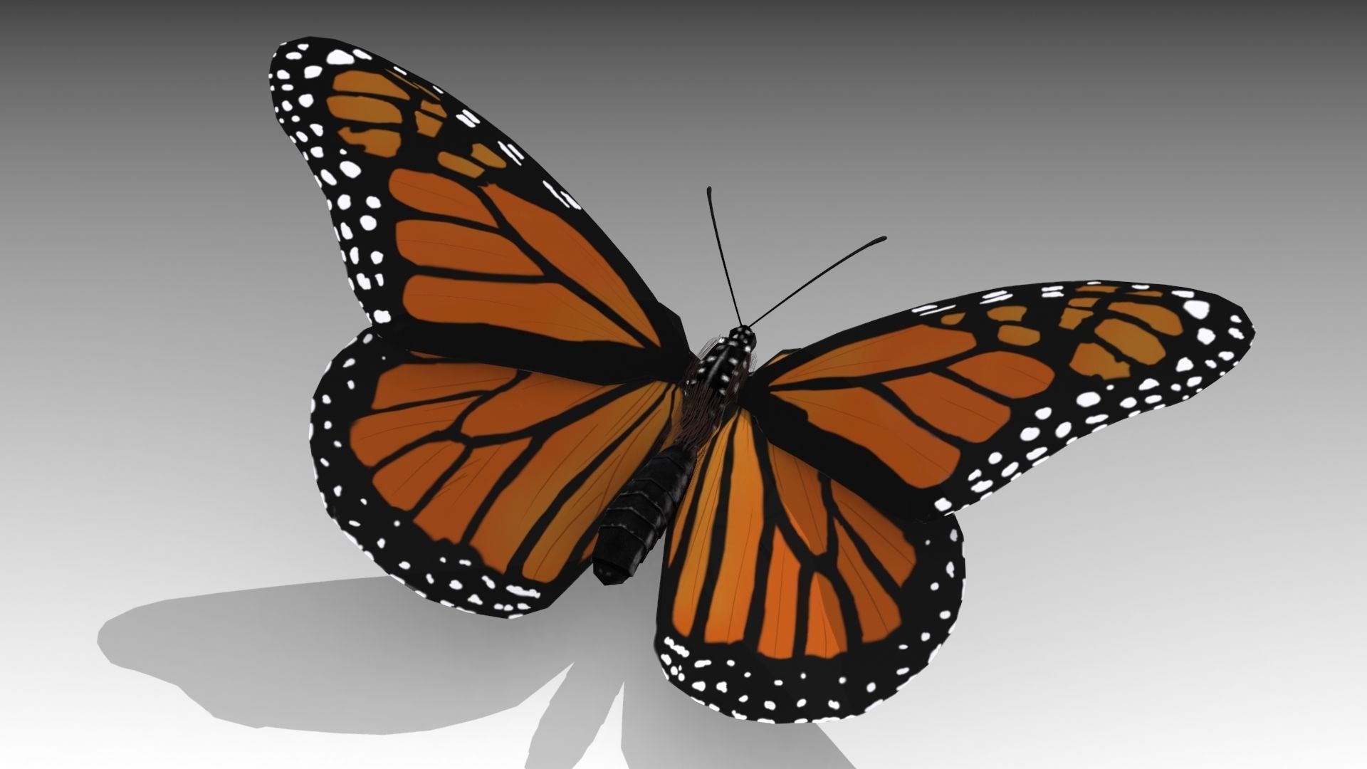 Monarch butterfly Low-poly 3D model_4