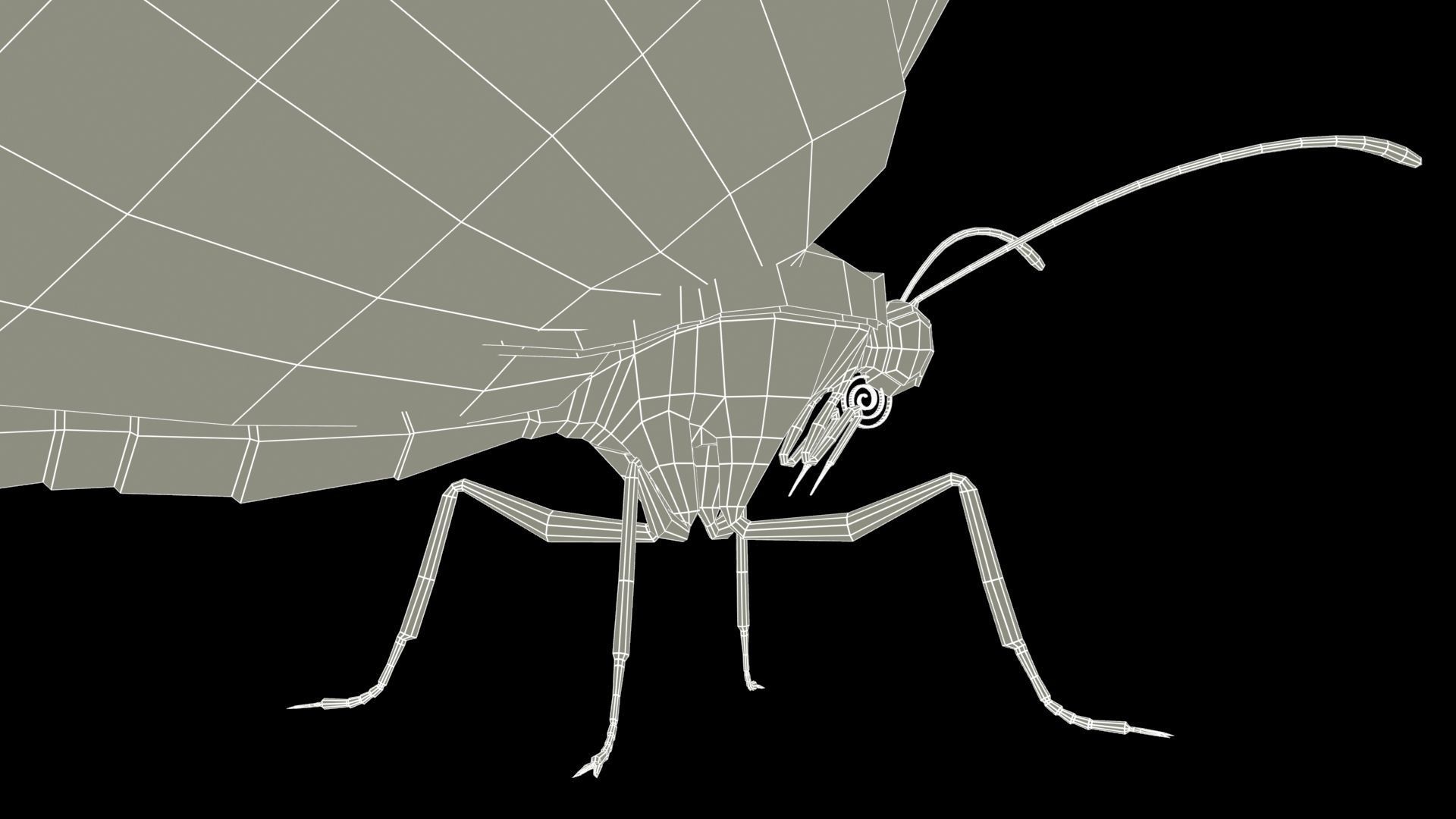 Monarch butterfly Low-poly 3D model_11