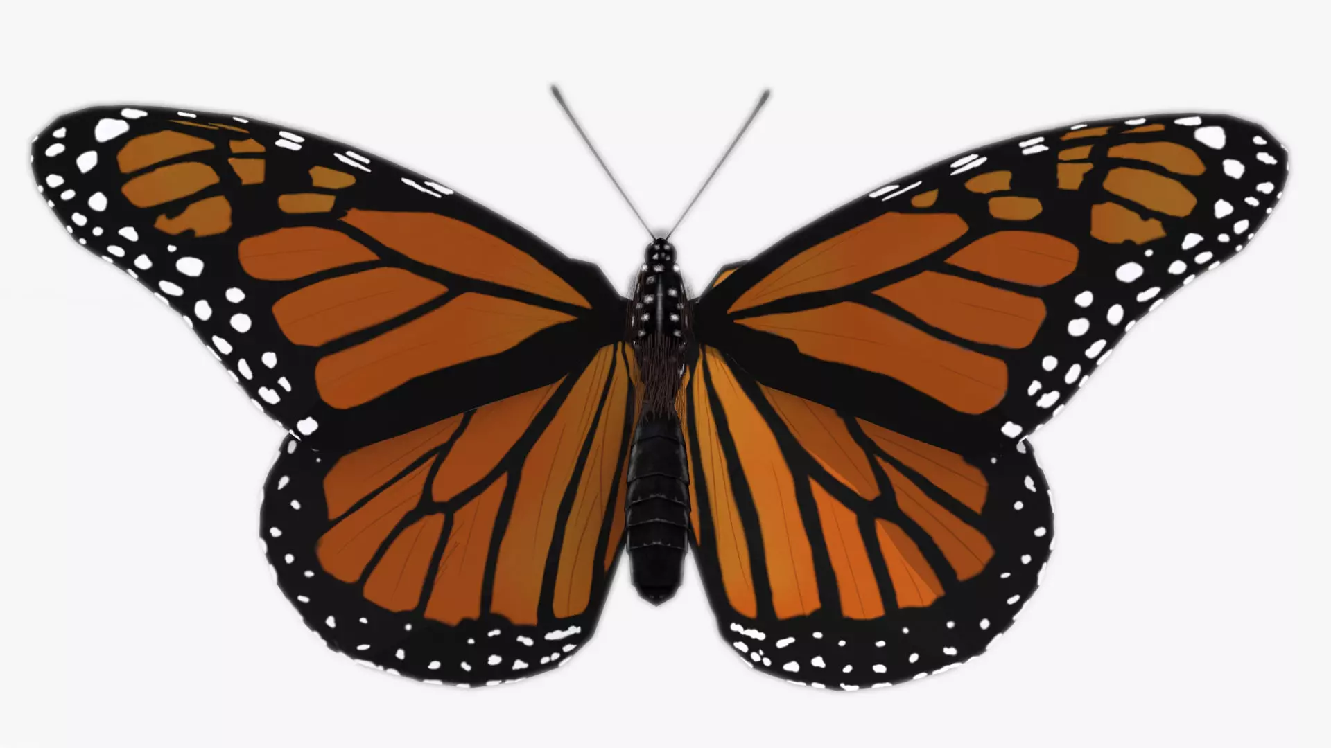Monarch butterfly Low-poly 3D model_0
