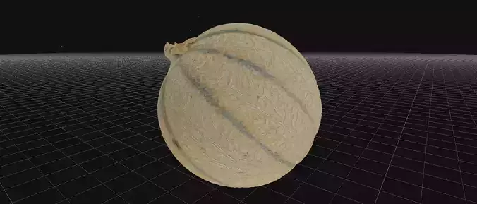Charentais Cantaloupe Low-poly 3D model
