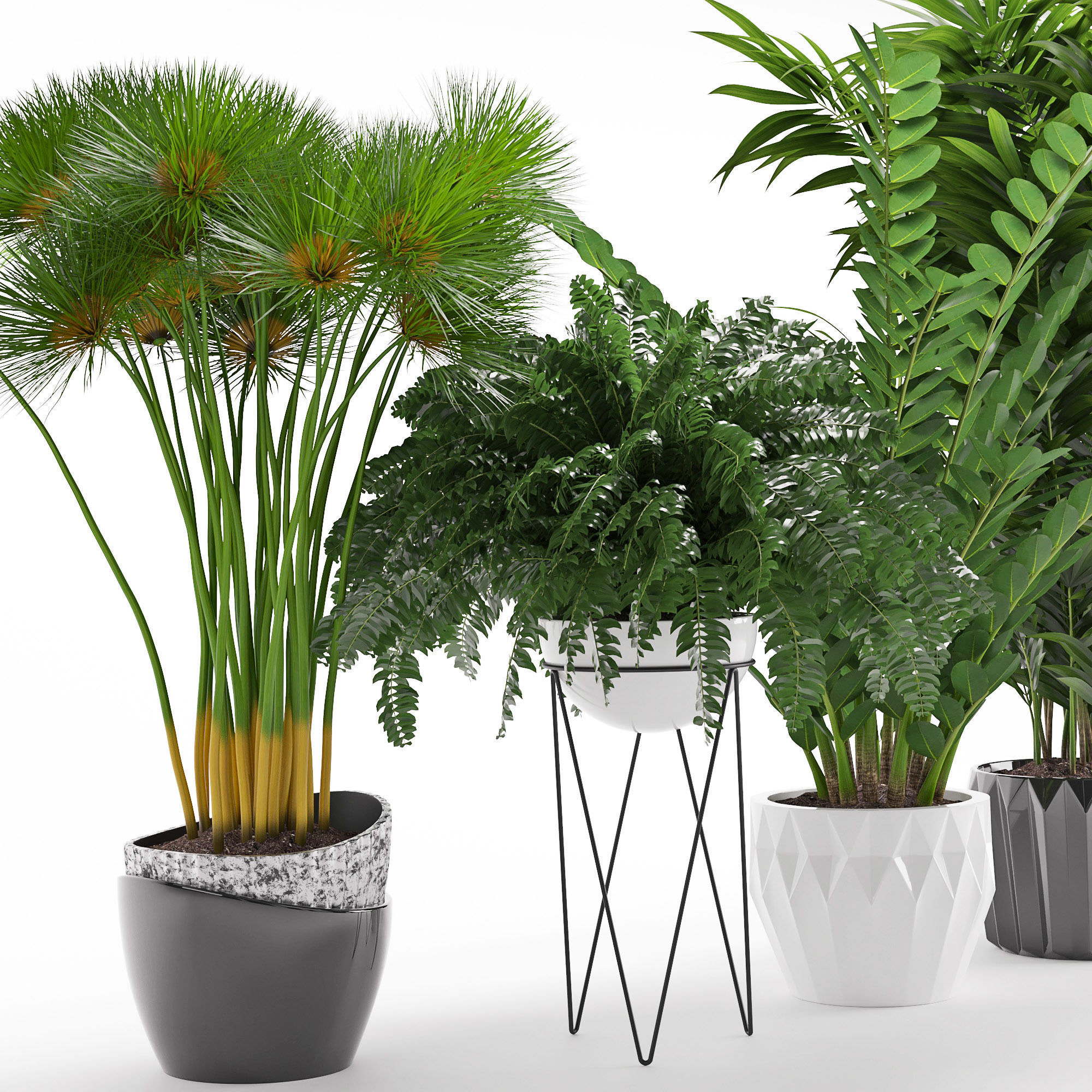 Houseplant 27 3D model_3