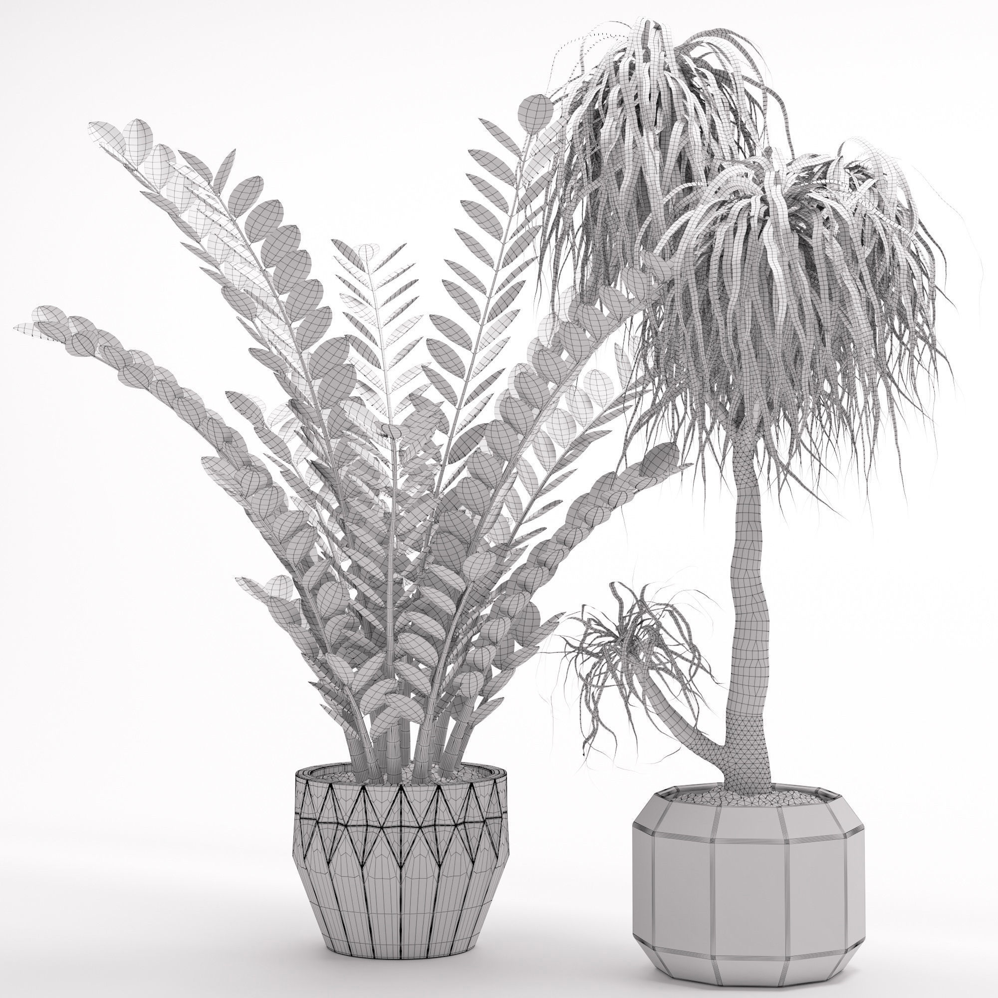 Houseplant 27 3D model_2