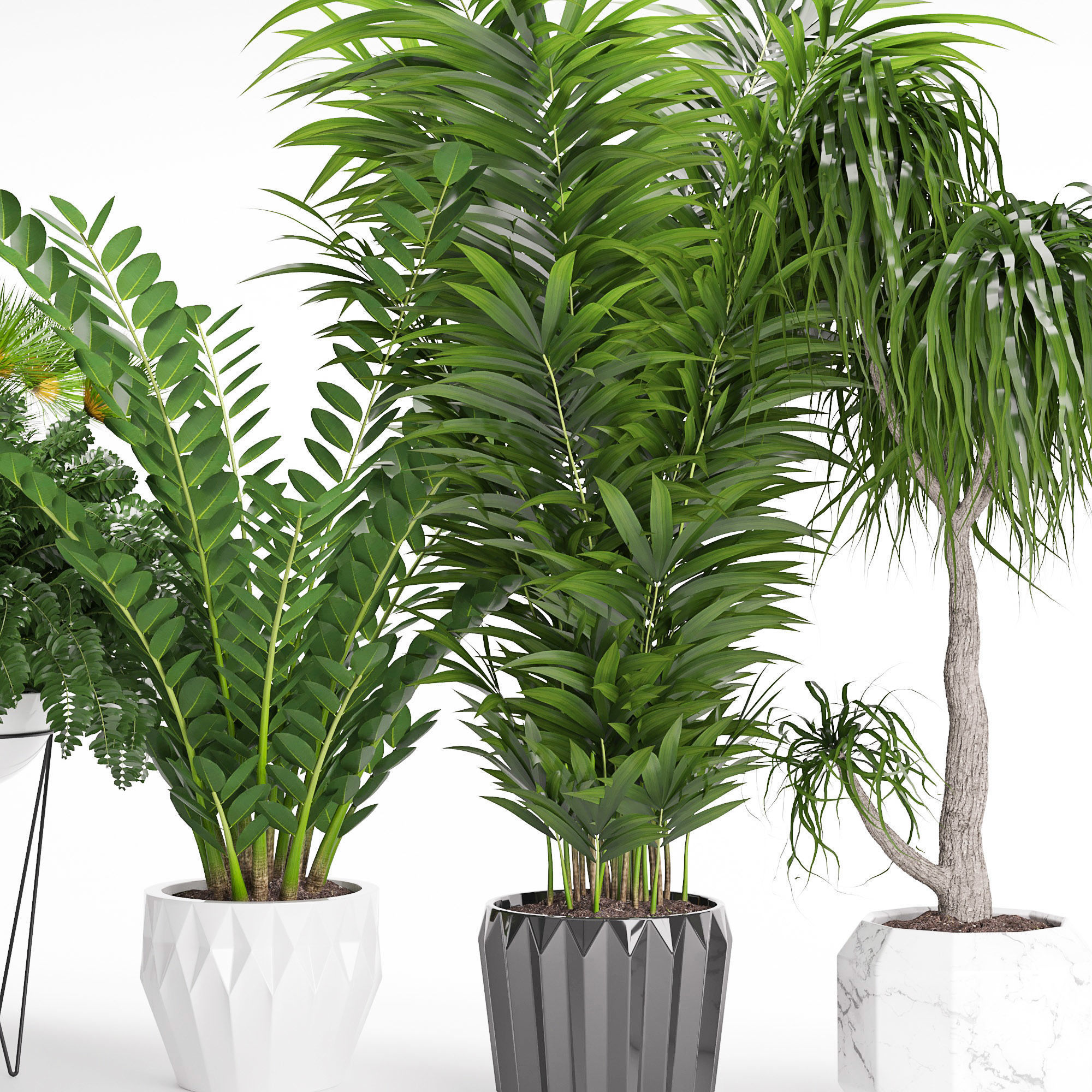 Houseplant 27 3D model_6
