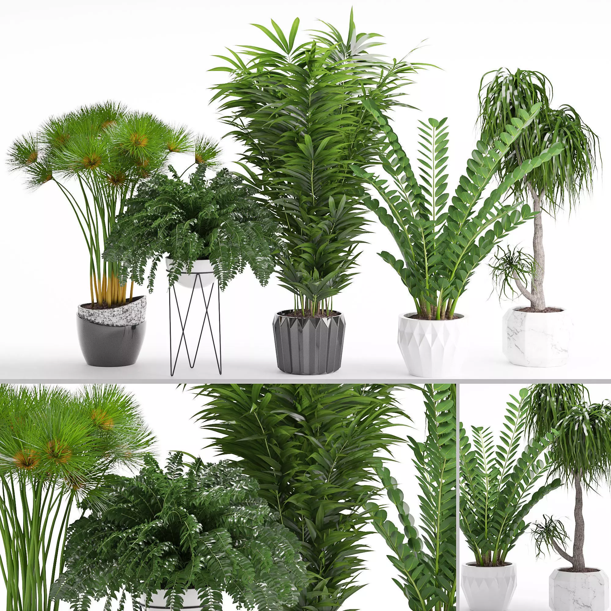 Houseplant 27 3D model_0