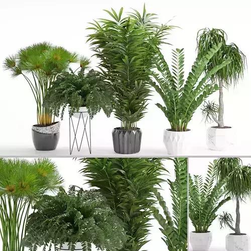 Houseplant 27 3D model