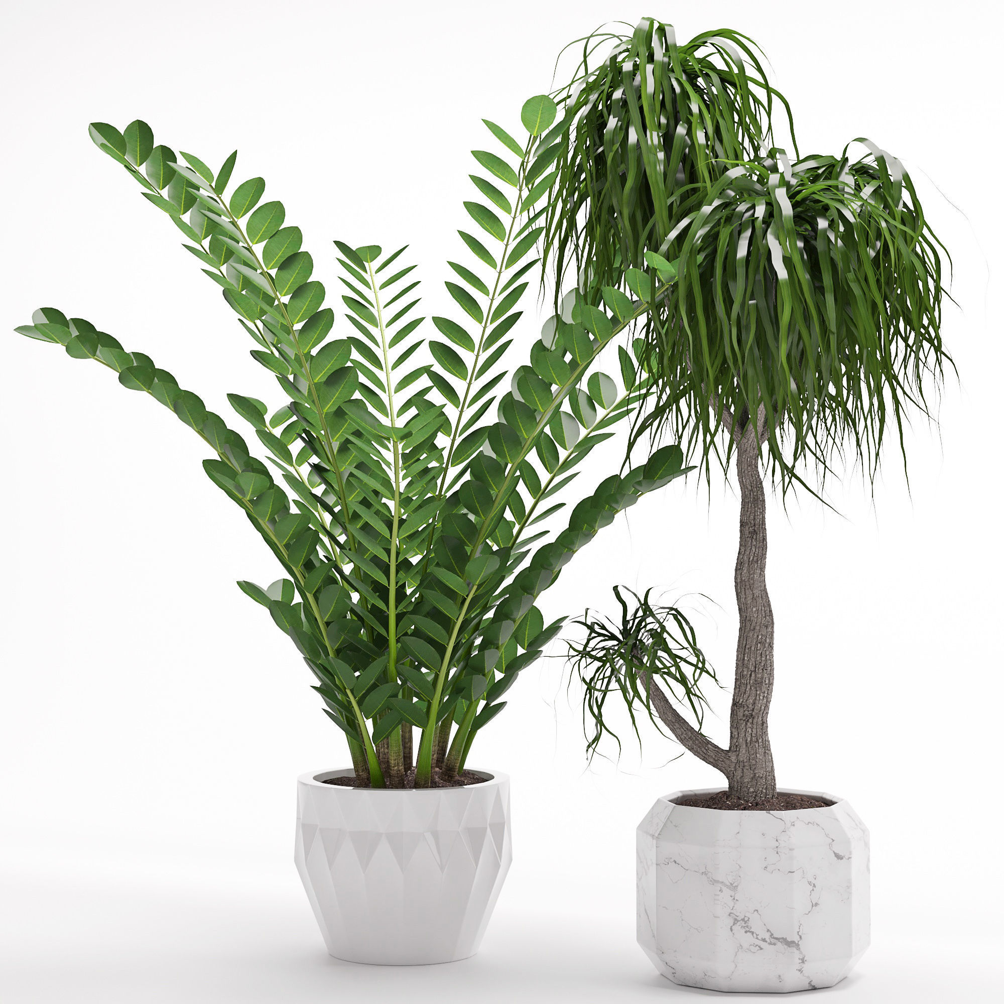 Houseplant 27 3D model_1