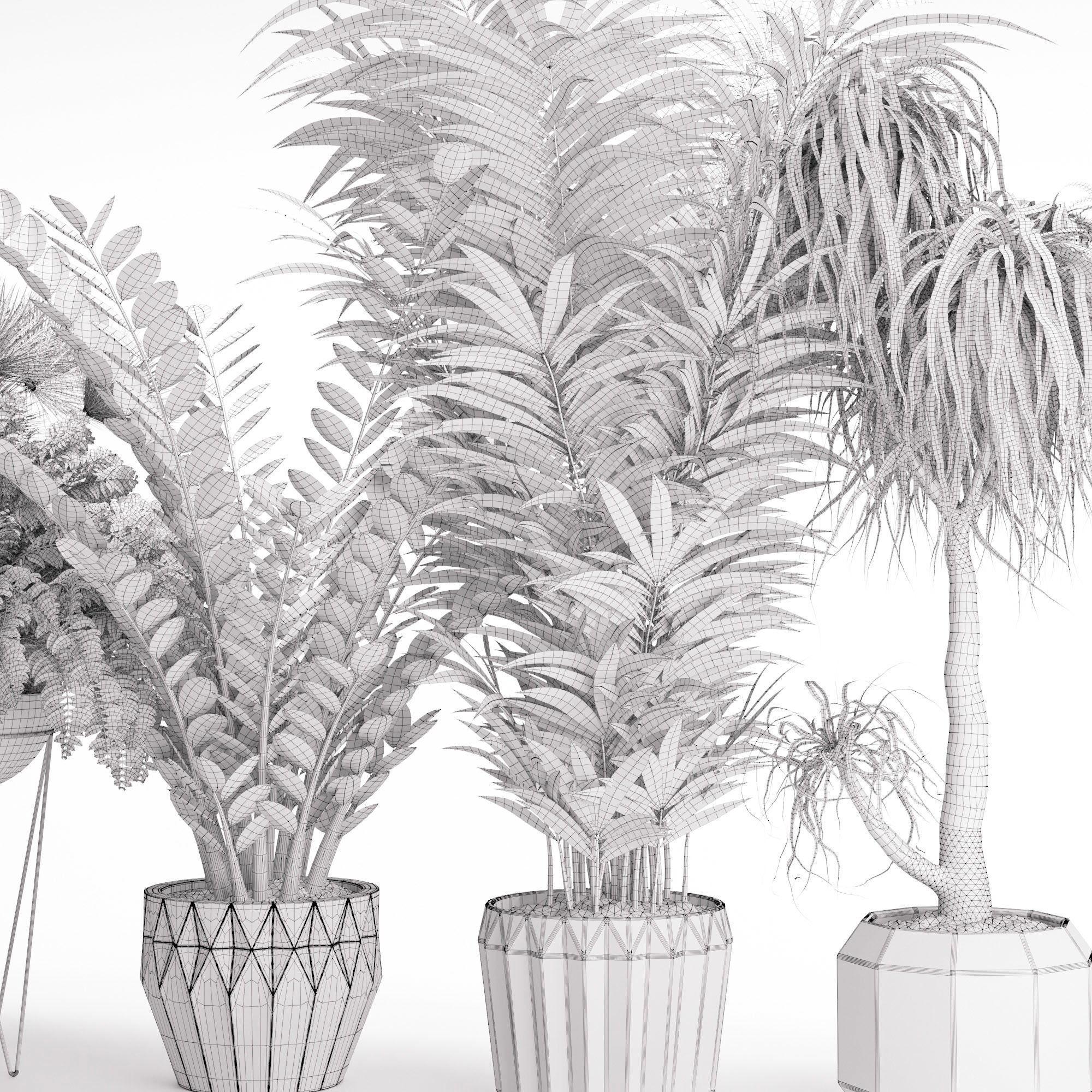 Houseplant 27 3D model_4