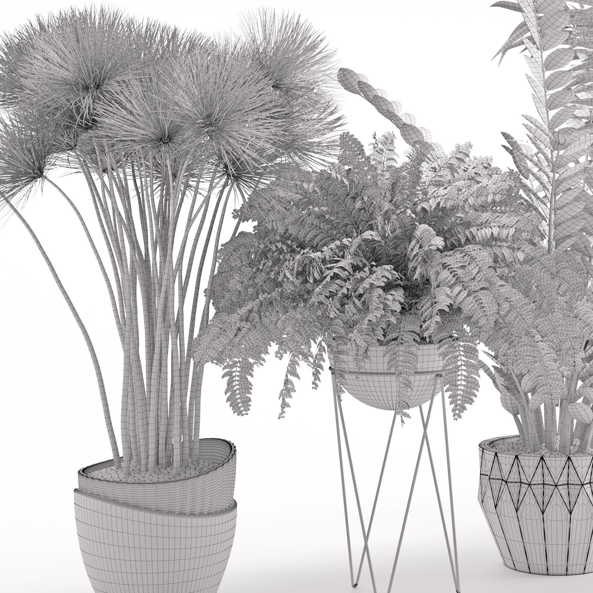 Houseplant 27 3D model_5